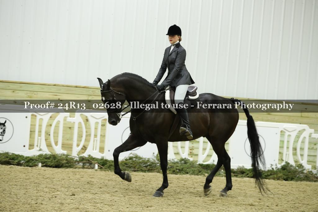 Proof 24R13_02628