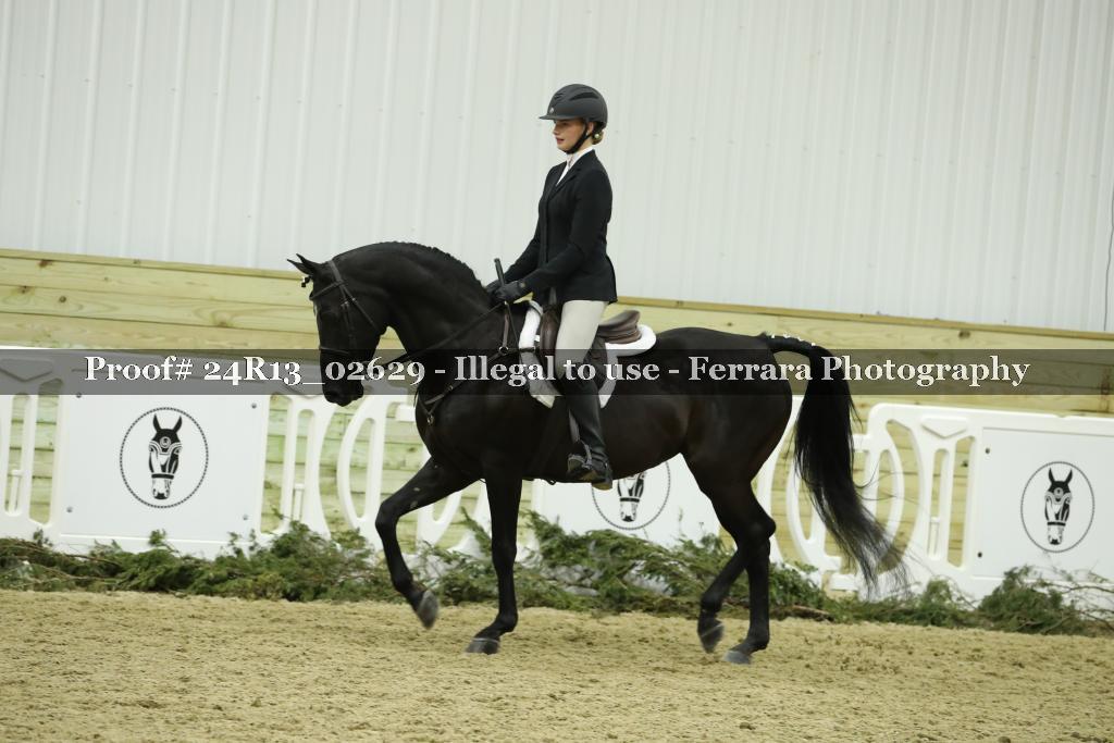 Proof 24R13_02629