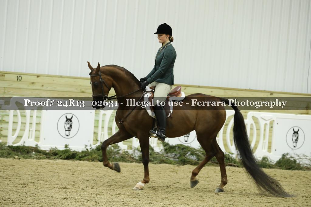Proof 24R13_02631