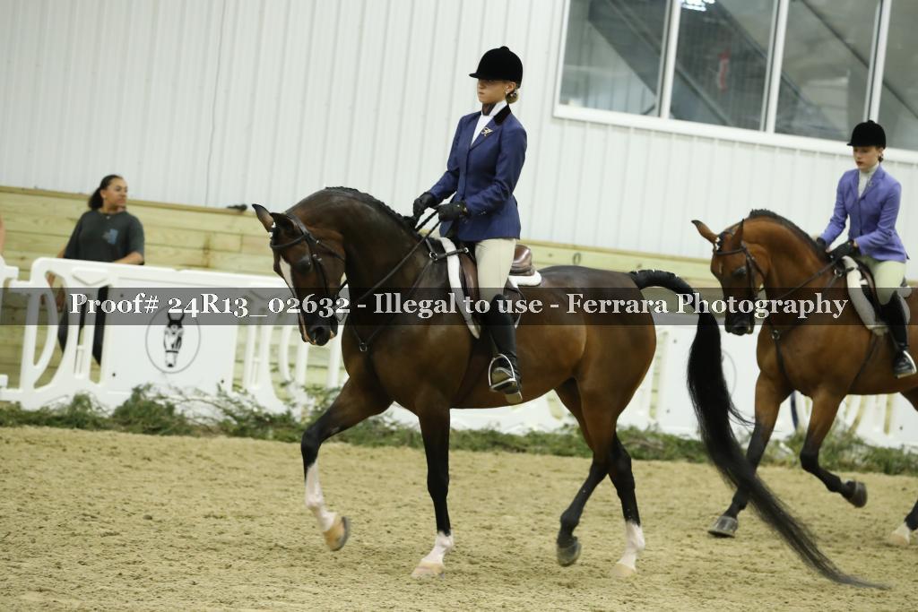 Proof 24R13_02632