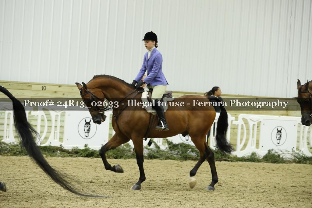 Proof 24R13_02633