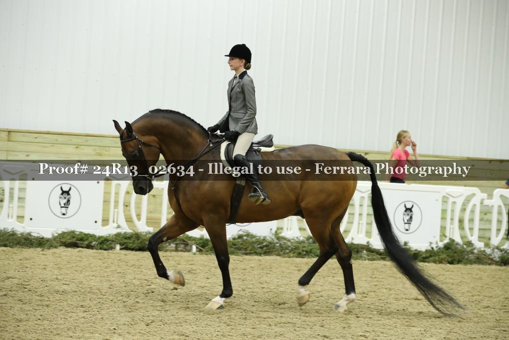Proof 24R13_02634
