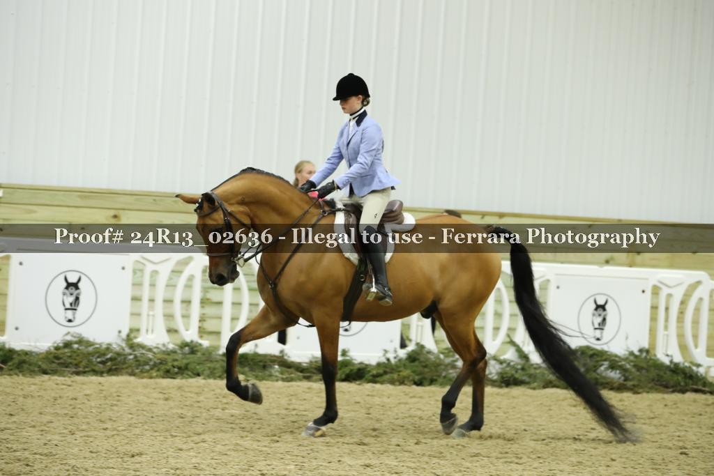 Proof 24R13_02636