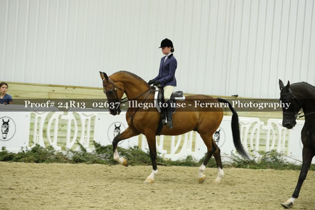 Proof 24R13_02637
