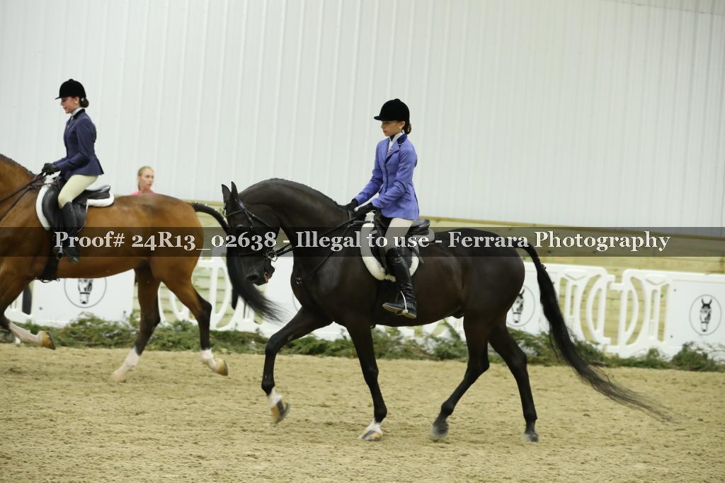 Proof 24R13_02638