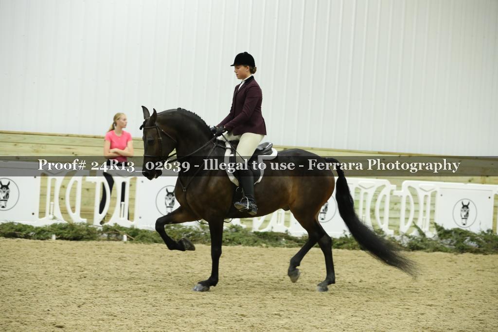 Proof 24R13_02639
