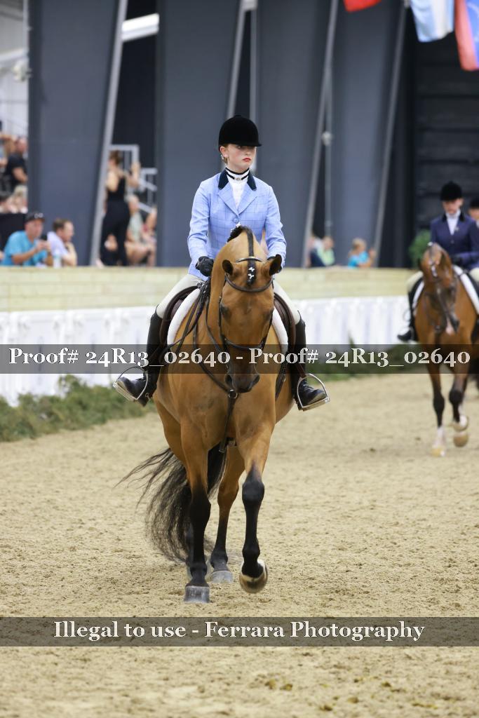 Proof 24R13_02640