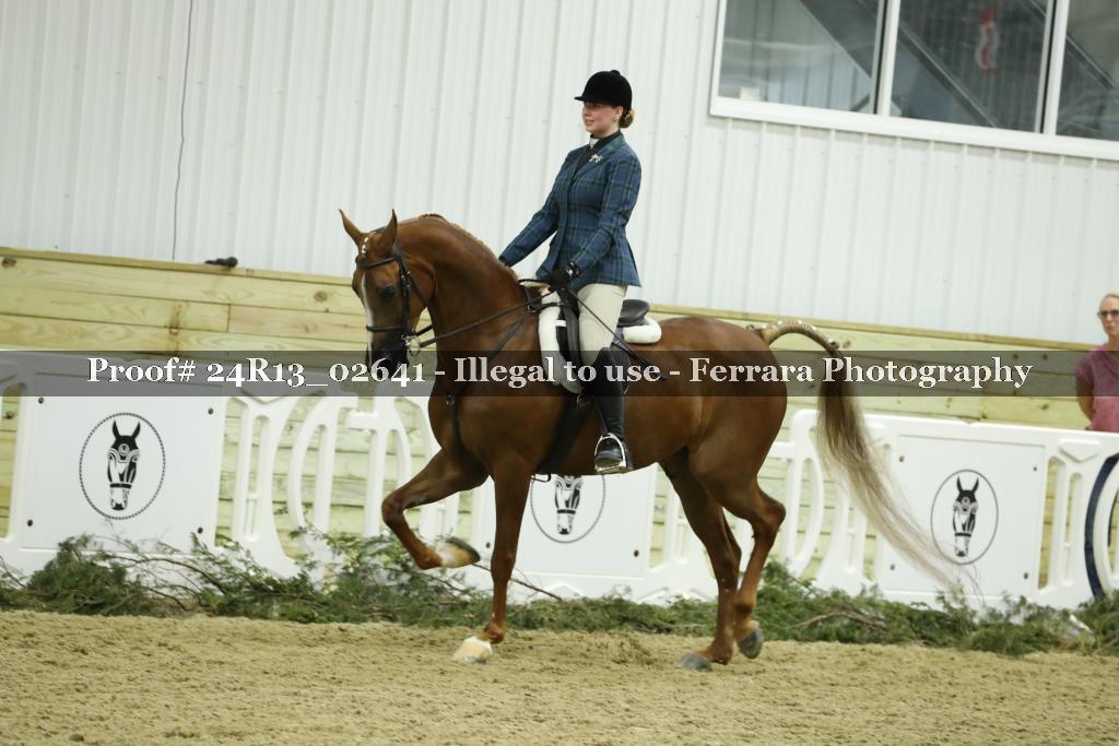 Proof 24R13_02641