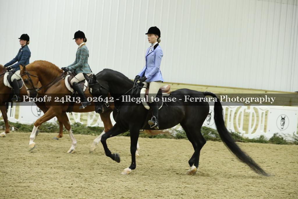 Proof 24R13_02642