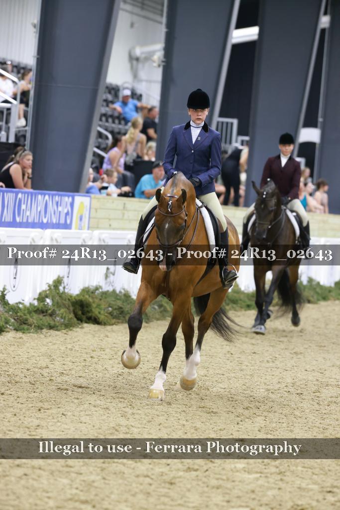 Proof 24R13_02643