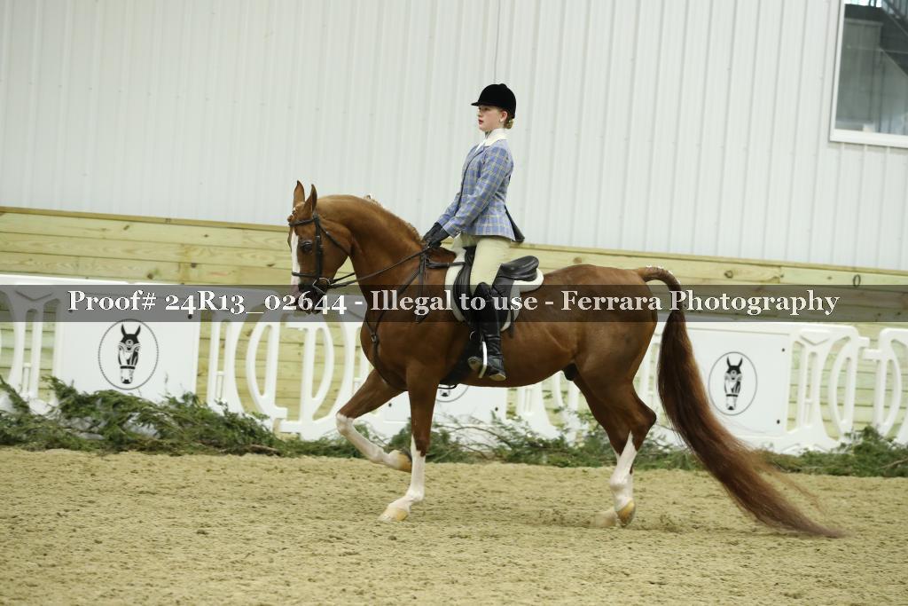 Proof 24R13_02644