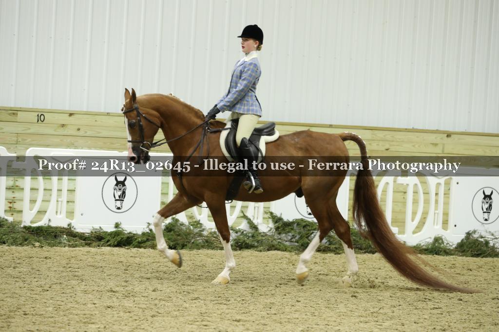 Proof 24R13_02645