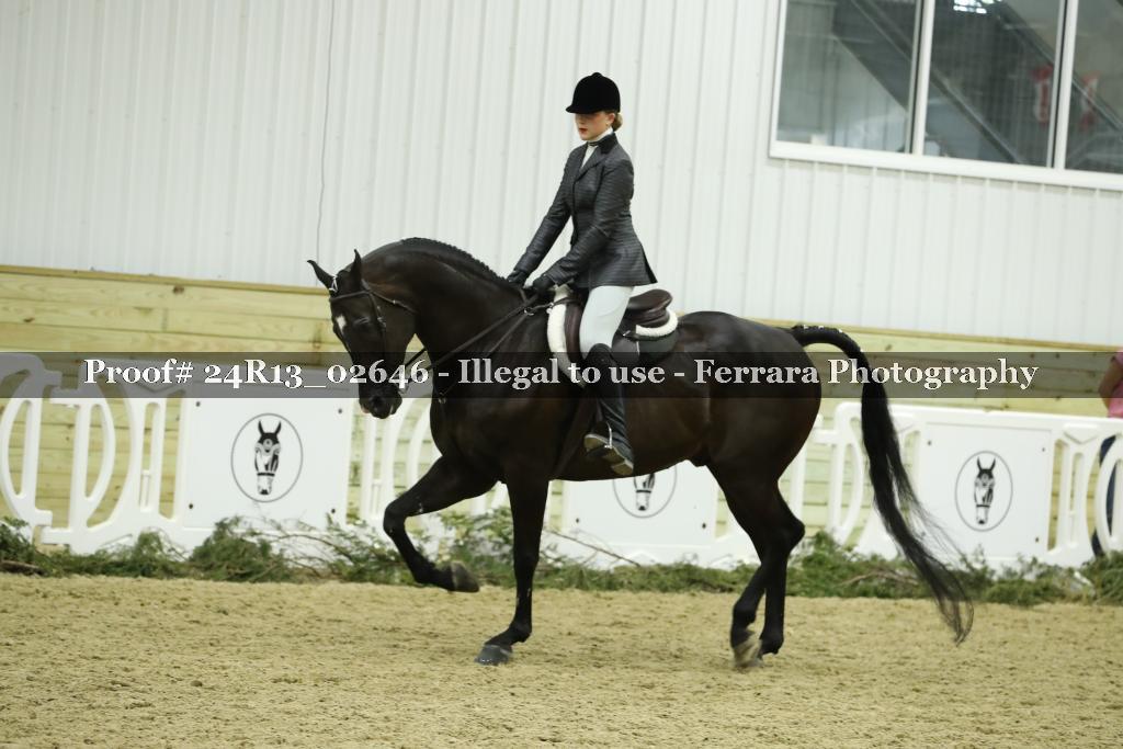 Proof 24R13_02646