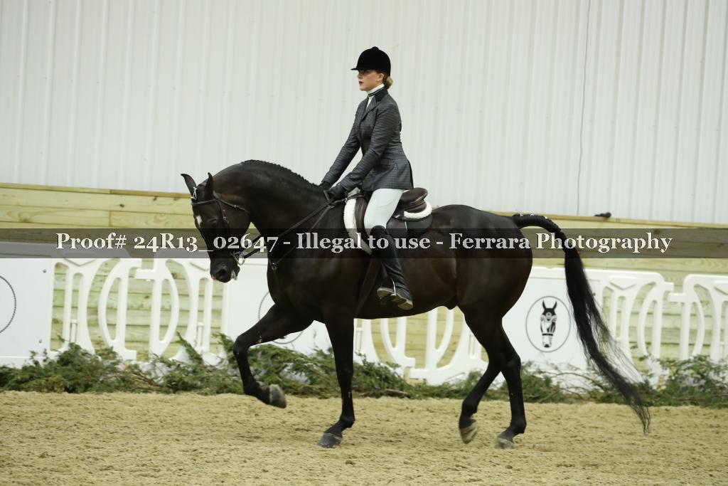 Proof 24R13_02647