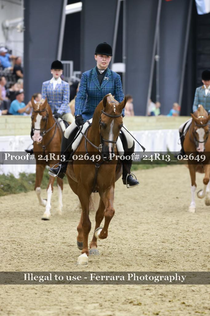 Proof 24R13_02649