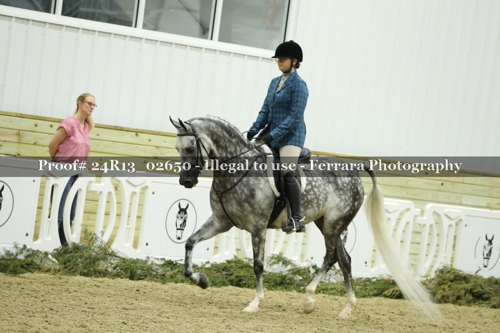 Proof 24R13_02650