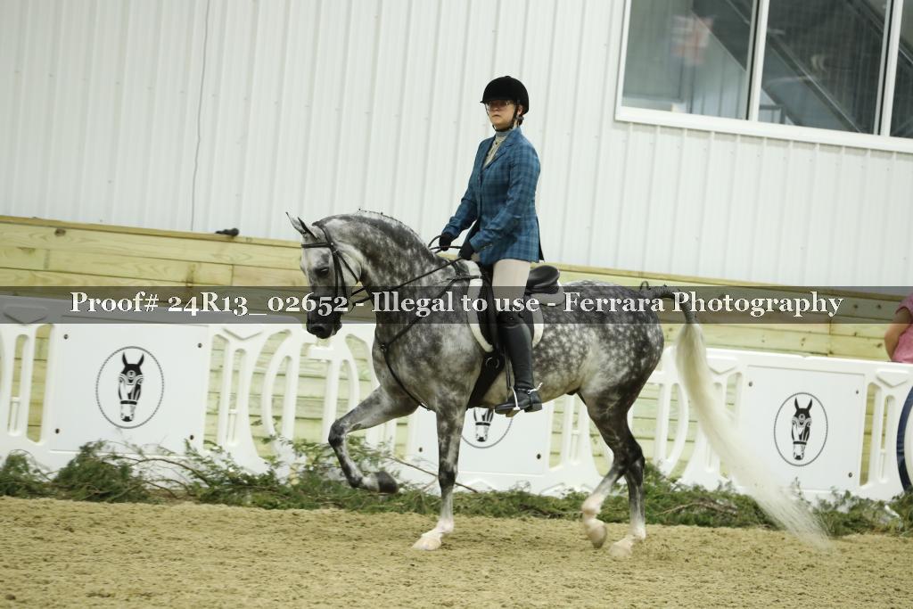 Proof 24R13_02652