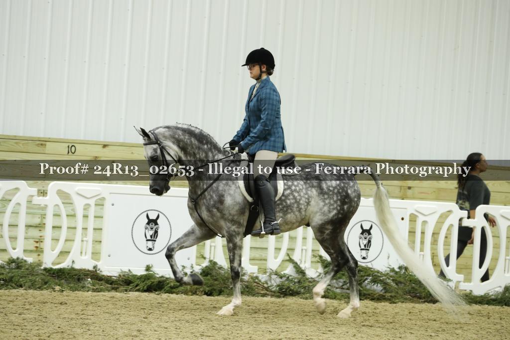 Proof 24R13_02653