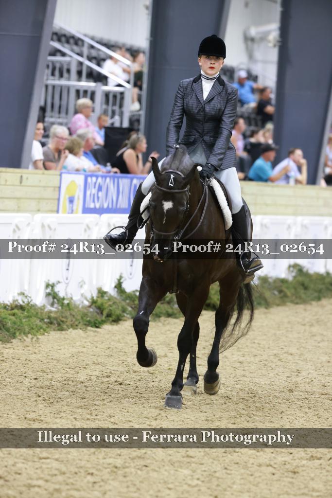 Proof 24R13_02654
