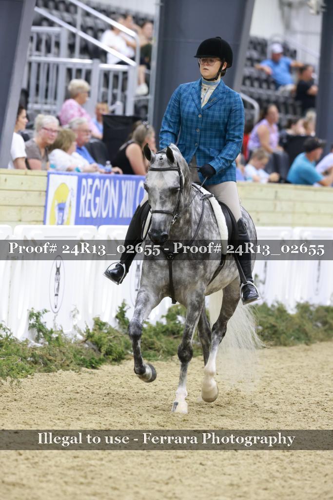 Proof 24R13_02655