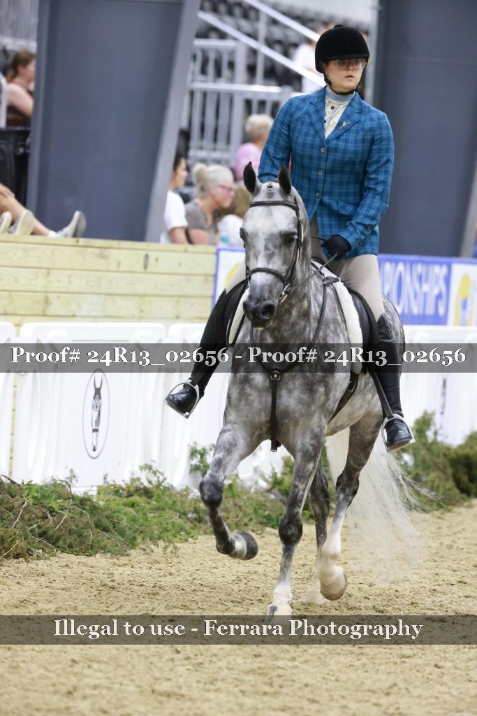Proof 24R13_02656