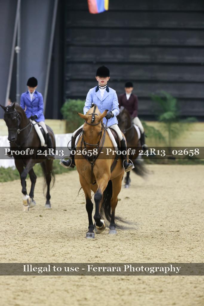 Proof 24R13_02658
