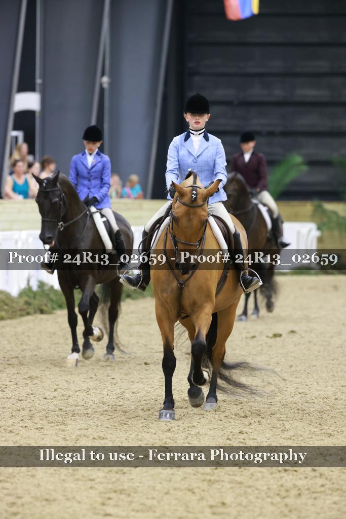 Proof 24R13_02659