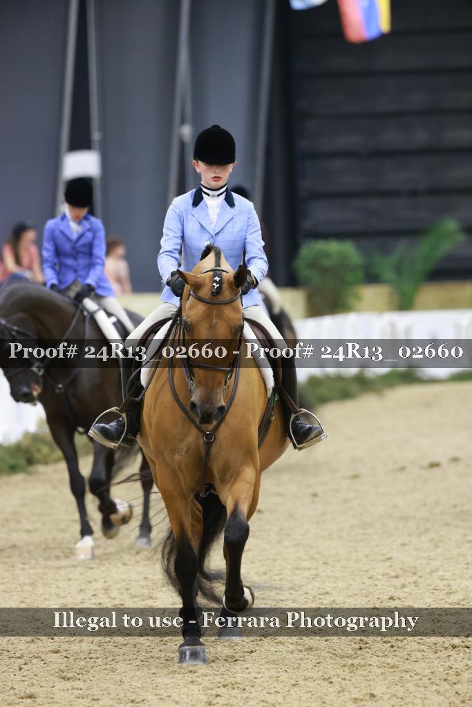 Proof 24R13_02660