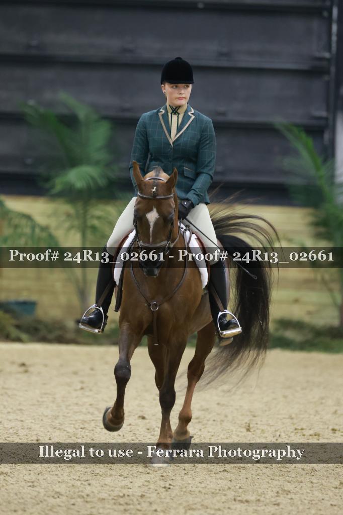 Proof 24R13_02661