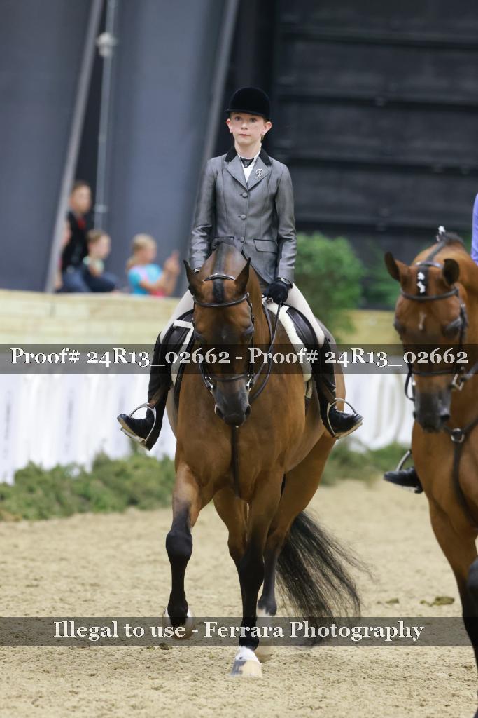 Proof 24R13_02662