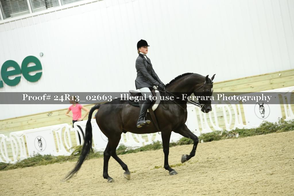 Proof 24R13_02663