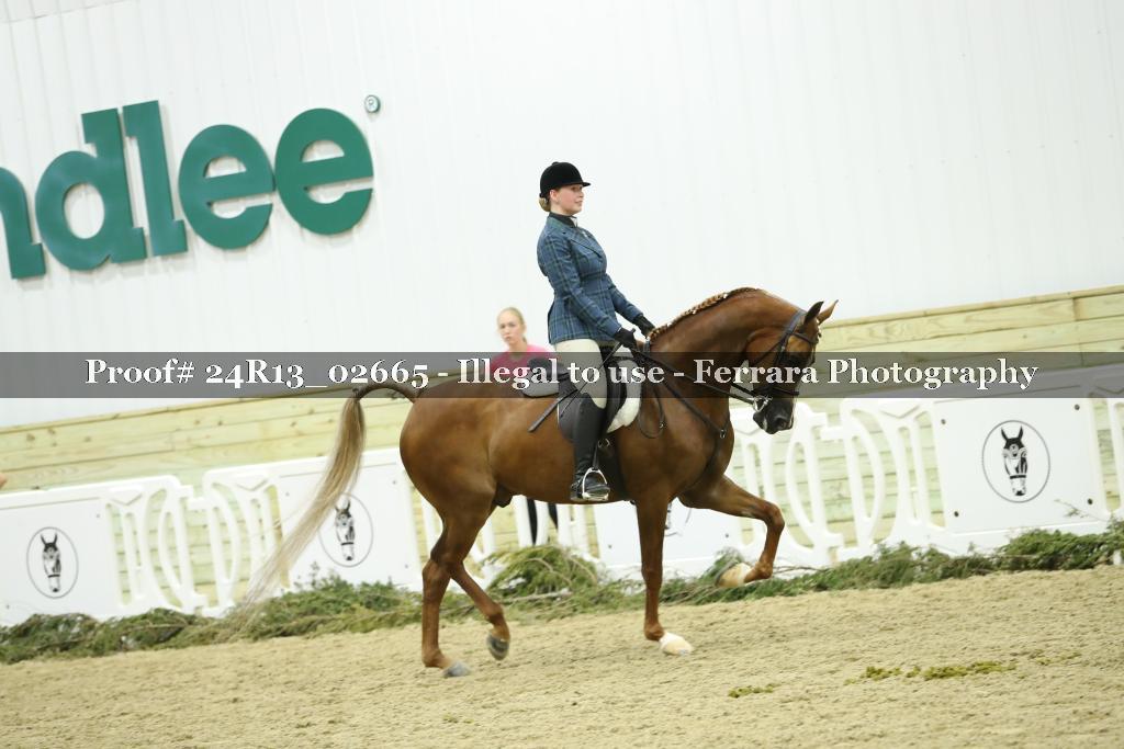 Proof 24R13_02665
