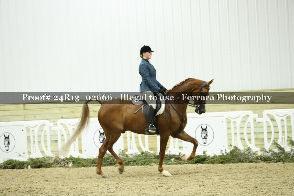 Proof 24R13_02666