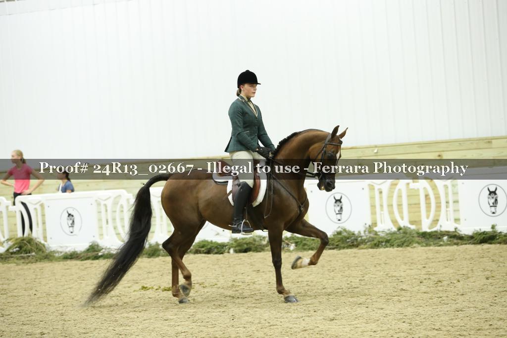Proof 24R13_02667