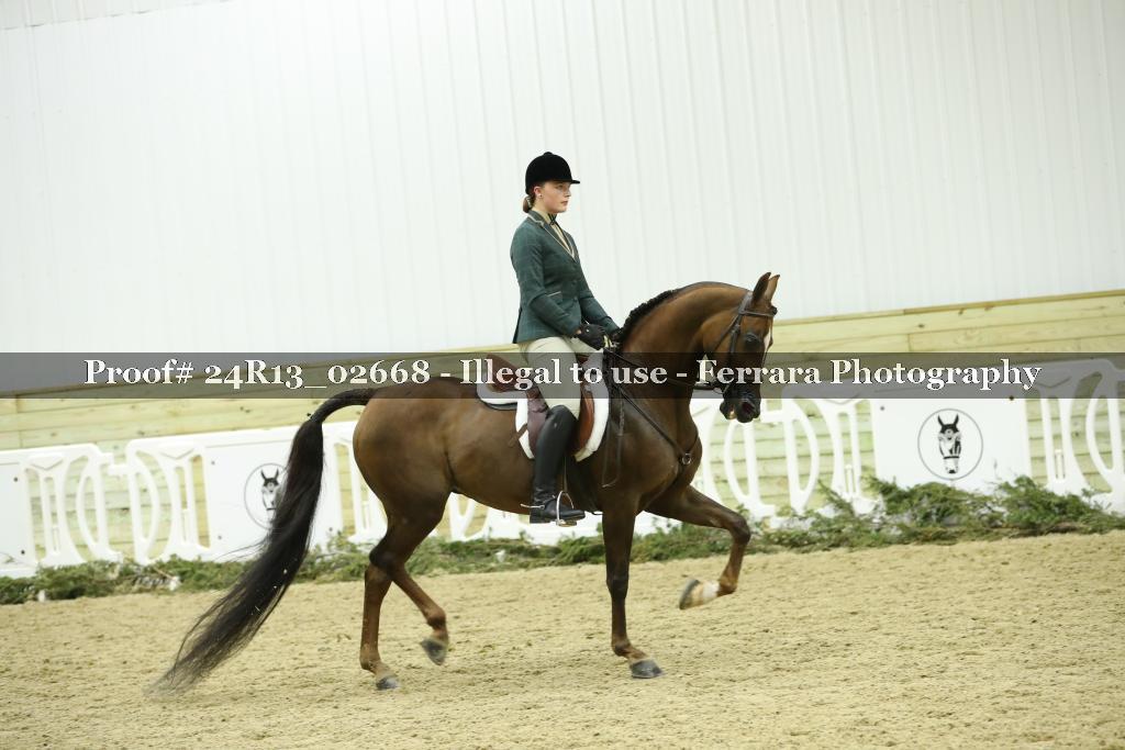 Proof 24R13_02668