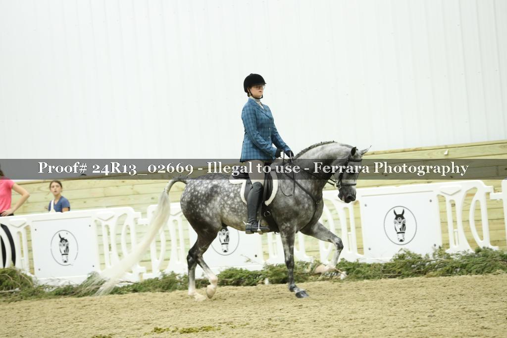 Proof 24R13_02669