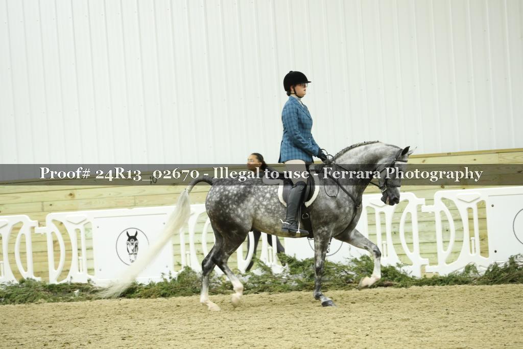 Proof 24R13_02670