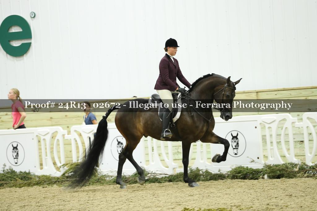 Proof 24R13_02672