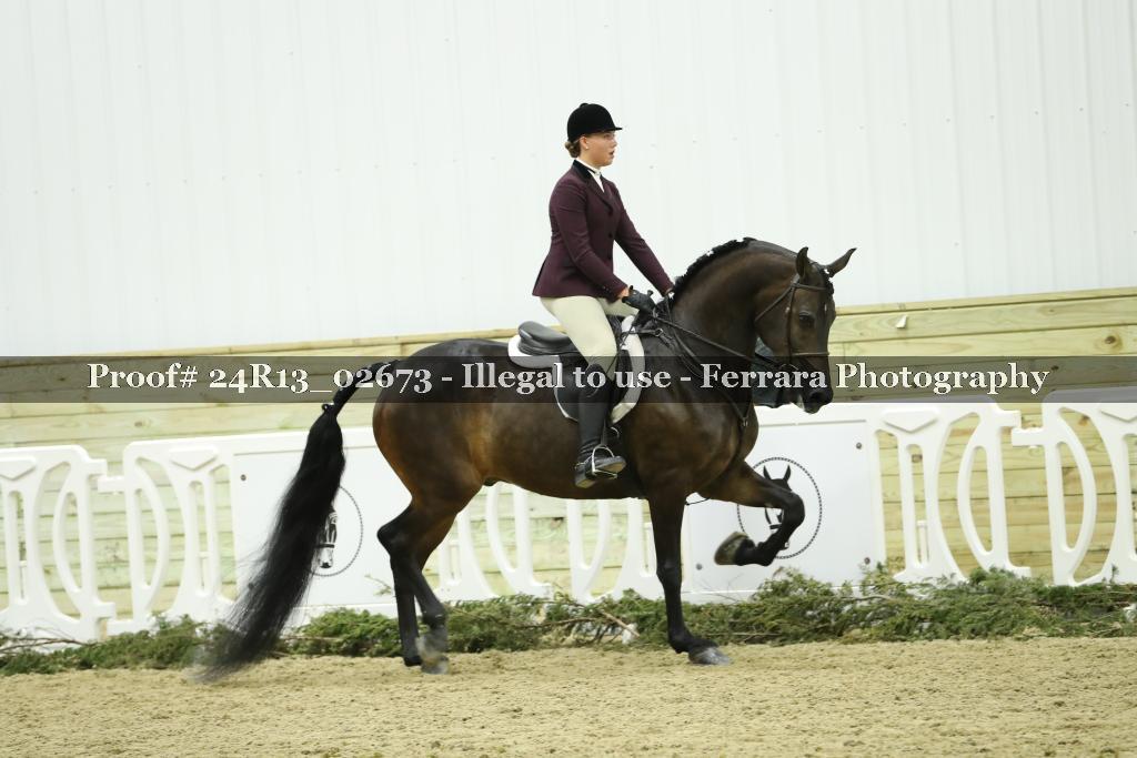 Proof 24R13_02673