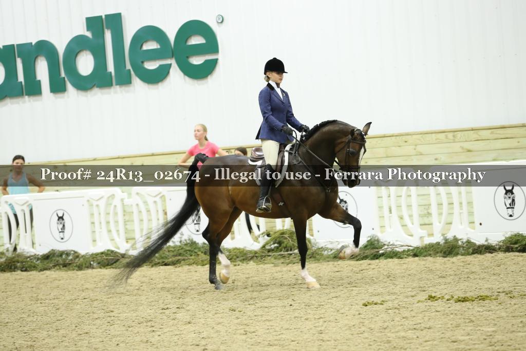 Proof 24R13_02674