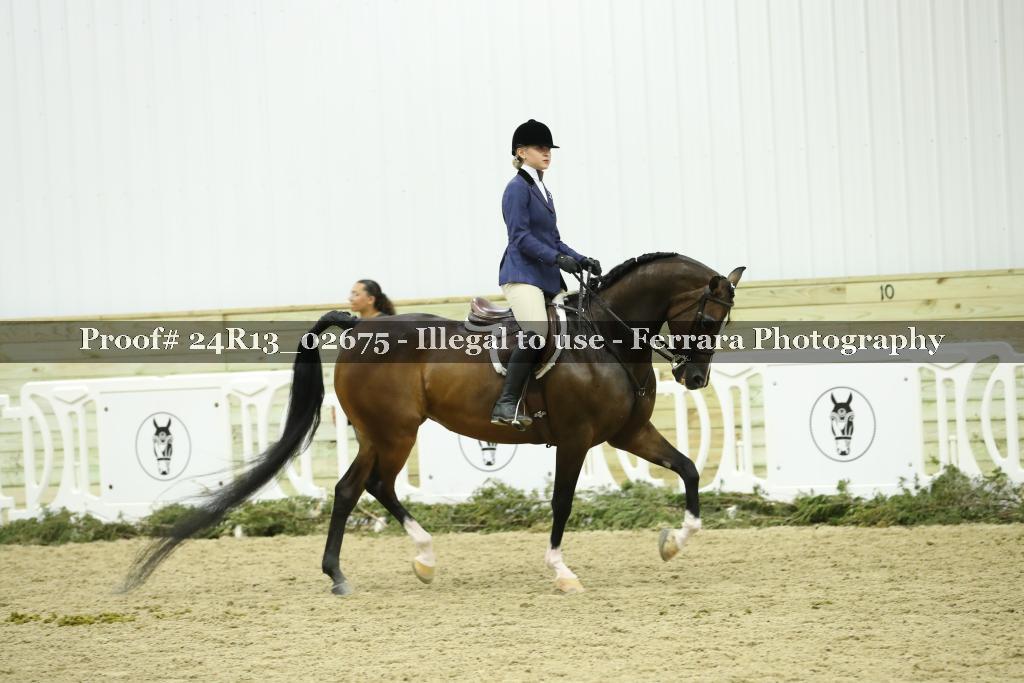 Proof 24R13_02675
