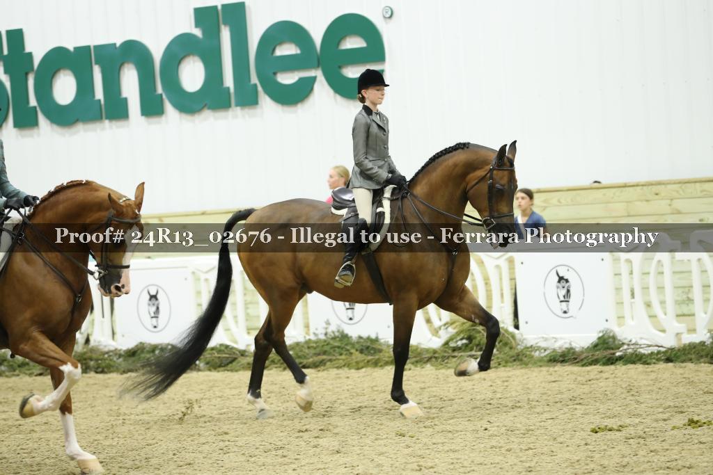 Proof 24R13_02676