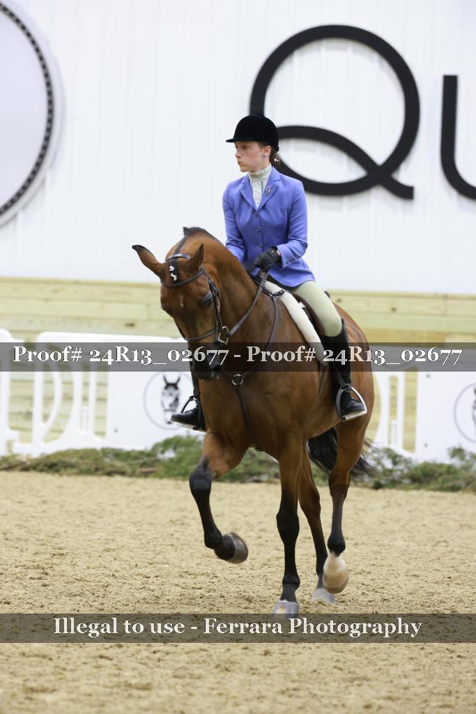 Proof 24R13_02677