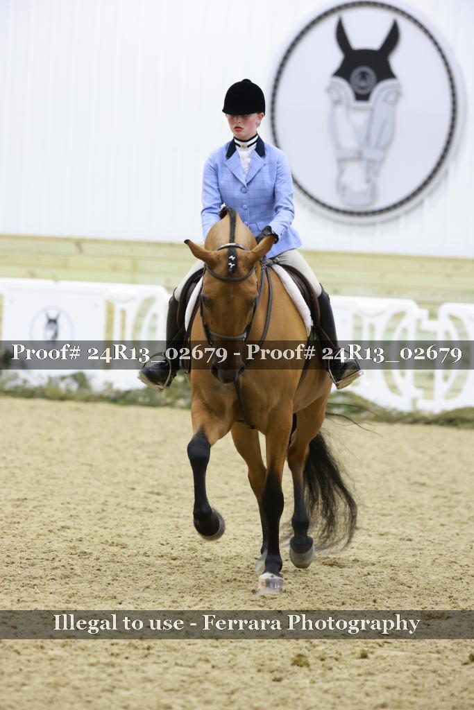 Proof 24R13_02679