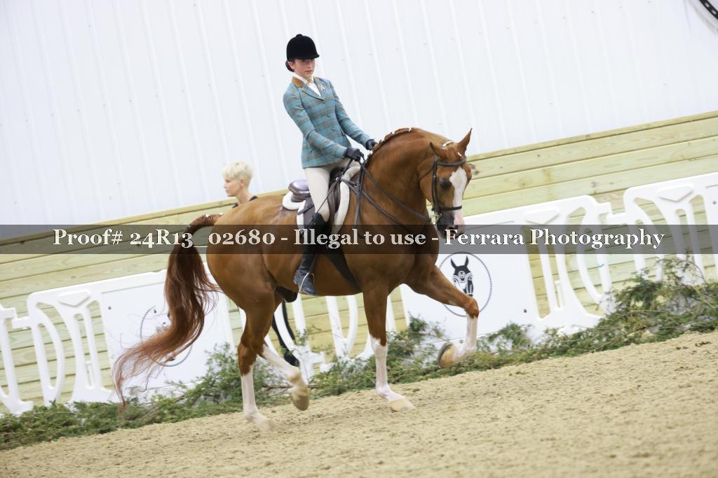 Proof 24R13_02680