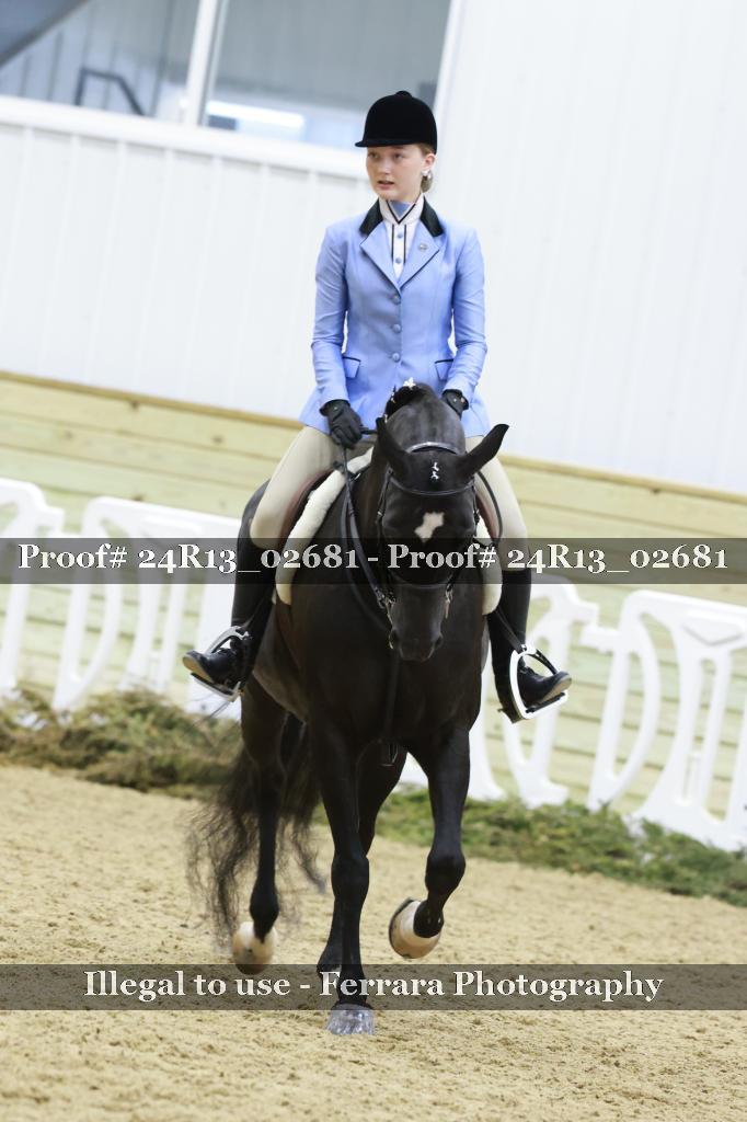 Proof 24R13_02681