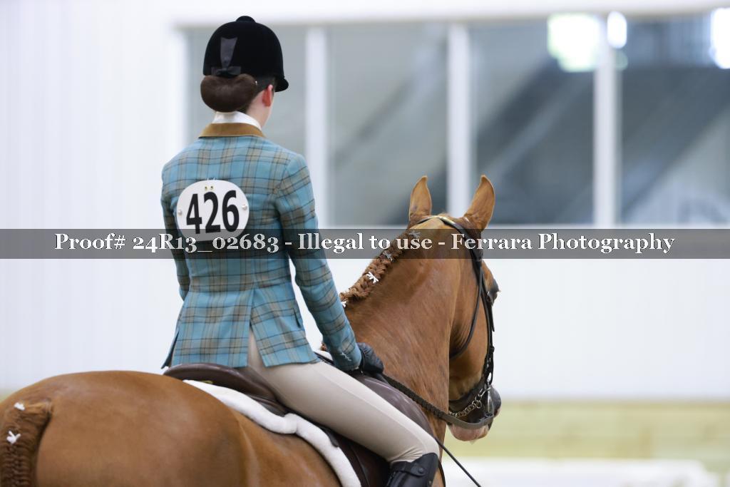 Proof 24R13_02683
