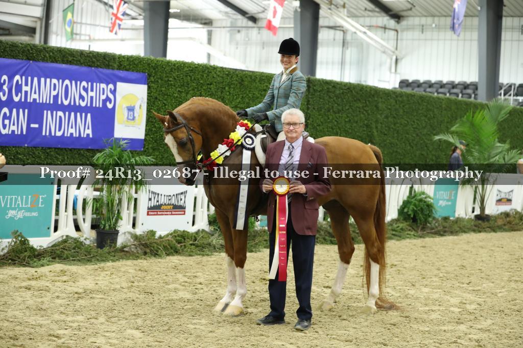 Proof 24R13_02687