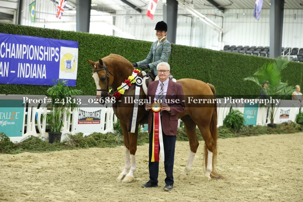 Proof 24R13_02688