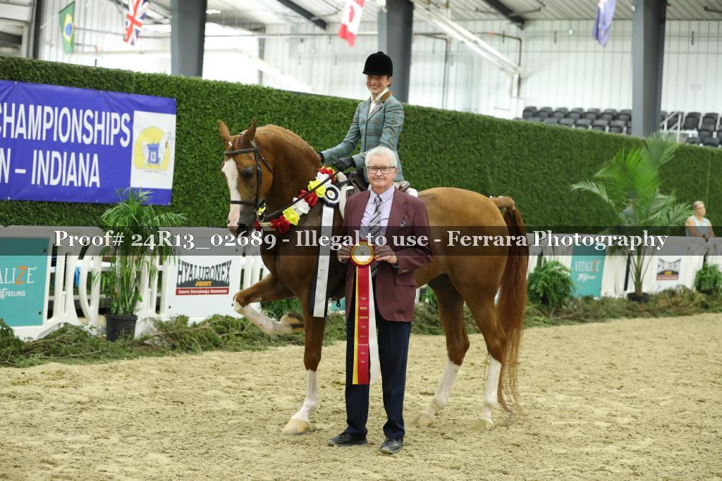 Proof 24R13_02689